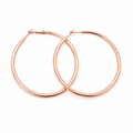 Stardust Rosé Earrings